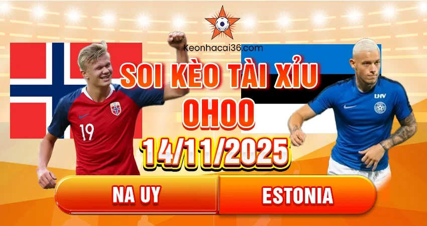 Soi kèo tài xỉu, kèo chấp trận Na Uy vs Estonia, 0h00 ngày 14/11